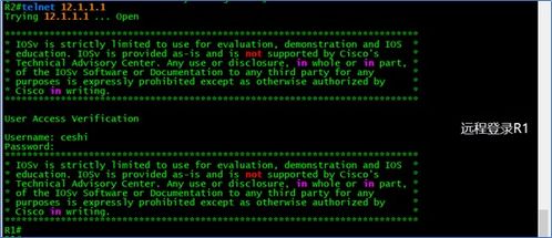 網絡工程基礎 路由器在劃分網絡權限中的應用與電腦軟件支持