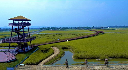 2018邛崍樂漁節(jié)暨漁香米豐收節(jié) 一場(chǎng)農(nóng)漁文化的盛宴邀您共赴